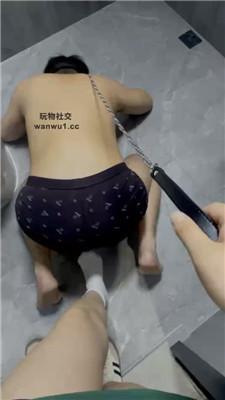 102744jxs8zsxy4n8d6s6g.jpg