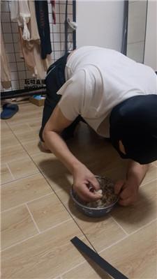 112917y4g6ugsaoowu4xp4.jpg