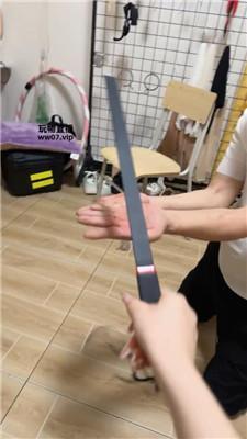 130323z6rr6t1sqmkvddrr.jpg