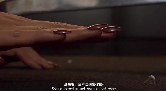 112859x013t2fg1rir2fr0.jpg